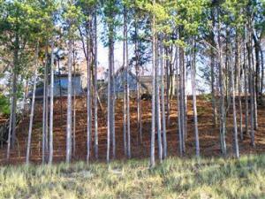 13590 Easy Ln, Harbert, MI 49115 photo 6