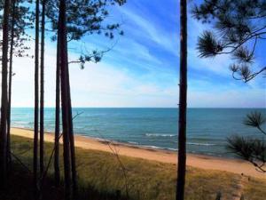 13590 Easy Ln, Harbert, MI 49115 photo 14