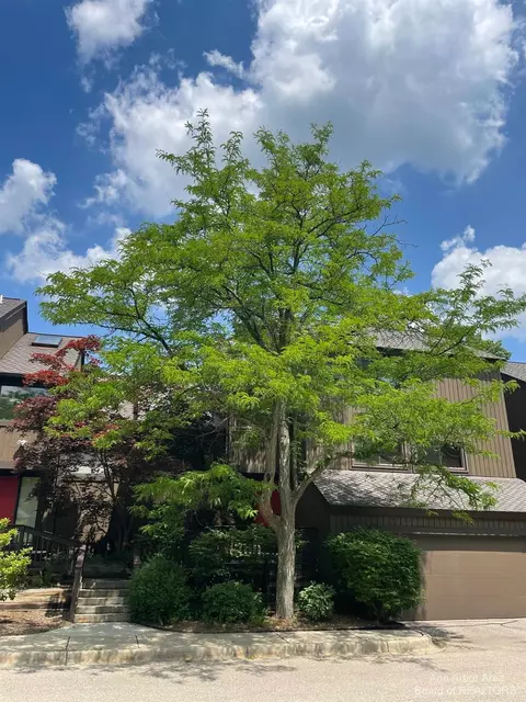 7 Northwick Ct, Ann Arbor, MI 48105