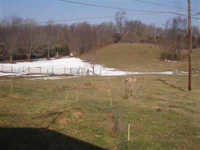 7790 Parsonage Rd, Saranac, MI 48881 photo 10