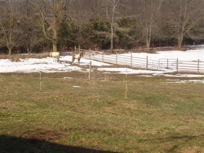 7790 Parsonage Rd, Saranac, MI 48881 photo 11