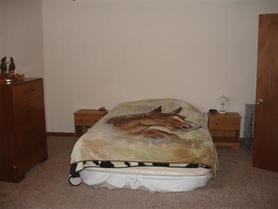7790 Parsonage Rd, Saranac, MI 48881 photo 7
