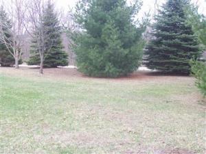 62040 Oak Grv, Cassopolis, MI 49031 photo 16
