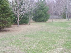 62040 Oak Grv, Cassopolis, MI 49031 photo 17