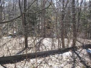 8317 Leecrest Blvd, Onekama, MI 49675 photo 19