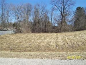 120 Munn, Hesperia, MI 49421 photo 12