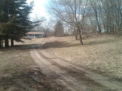 1917 S Marble, Lowell, MI 49331 photo 1