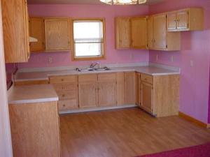 1117 Platt Ave, Big Rapids, MI 49307 photo 8