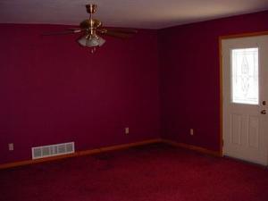 1117 Platt Ave, Big Rapids, MI 49307 photo 10