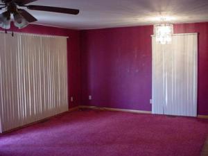 1117 Platt Ave, Big Rapids, MI 49307 photo 9