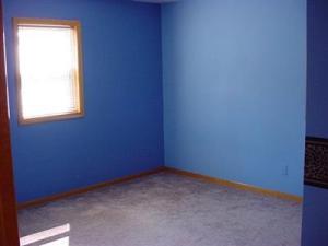 1117 Platt Ave, Big Rapids, MI 49307 photo 12