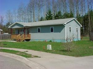 1117 Platt Ave, Big Rapids, MI 49307 photo 2