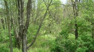 12444 M-89, Plainwell, MI 49080 photo 17