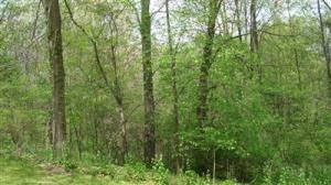 12444 M-89, Plainwell, MI 49080 photo 18