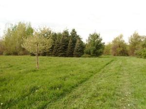27977 69th, Bangor, MI 49013 photo 4