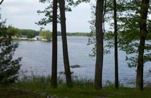6834 E Madison, Walkerville, MI 49459 photo 4