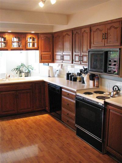 1503 10th St, Martin, MI 49070 photo 5