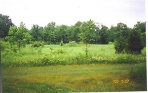 6451 Lilac Rd, Reading, MI 49274 photo 19