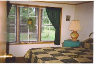 6451 Lilac Rd, Reading, MI 49274 photo 9