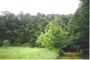 6451 Lilac Rd, Reading, MI 49274 photo 18