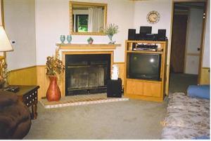 6451 Lilac Rd, Reading, MI 49274 photo 5