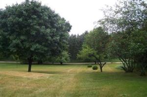 20375 Campus Vw, Big Rapids, MI 49307 photo 14