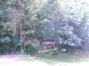 2196 N Marble, Belding, MI 48809 photo 17