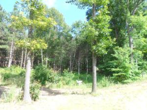 2196 N Marble, Belding, MI 48809 photo 18