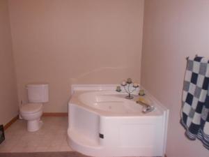 2196 N Marble, Belding, MI 48809 photo 8