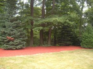 4635 Bacon School Rd, St. Joseph, MI 49085 photo 22