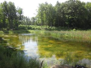1550 E Colby Rd, Stanton, MI 48888 photo 22