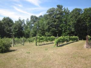 1550 E Colby Rd, Stanton, MI 48888 photo 23