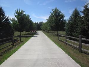 1550 E Colby Rd, Stanton, MI 48888 photo 24