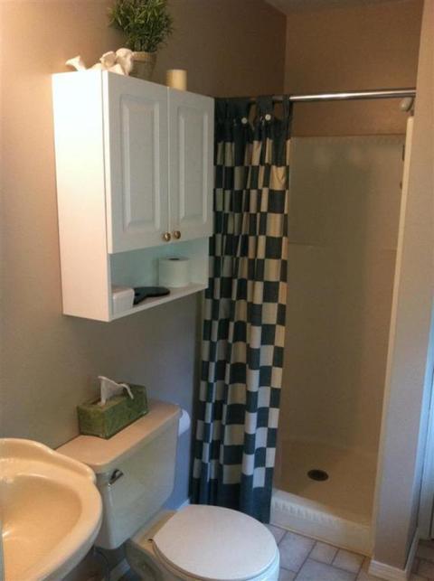 241 Spring Rd, Baroda, MI 49101 photo 15