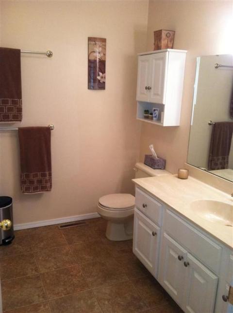 241 Spring Rd, Baroda, MI 49101 photo 14