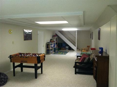 241 Spring Rd, Baroda, MI 49101 photo 17