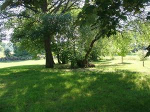 66 N North, White Cloud, MI 49349 photo 5
