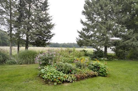 8478 N 40th St, Augusta, MI 49012 photo 21
