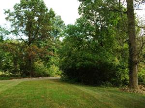18581 M-86, Three Rivers, MI 49093 photo 15