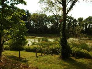 18581 M-86, Three Rivers, MI 49093 photo 13