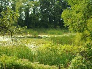 18581 M-86, Three Rivers, MI 49093 photo 14