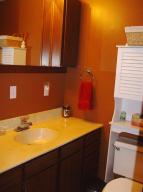 18581 M-86, Three Rivers, MI 49093 photo 8