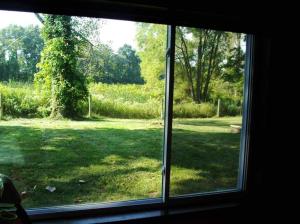 18581 M-86, Three Rivers, MI 49093 photo 17
