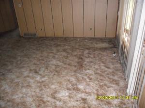14975 Main, Buchanan, MI 49107 photo 4