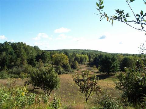 10998 W Ward Rd, Blanchard, MI 49310 photo 5