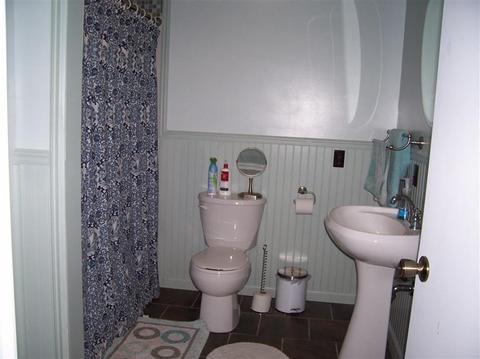 10998 W Ward Rd, Blanchard, MI 49310 photo 23
