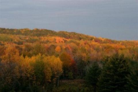 10998 W Ward Rd, Blanchard, MI 49310 photo 7