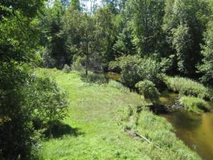 183 Dean Dr, Bitely, MI 49309 photo 23