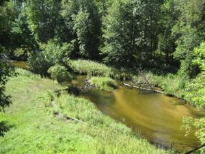 183 Dean Dr, Bitely, MI 49309 photo 22