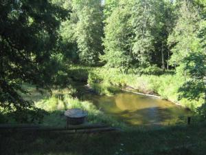 183 Dean Dr, Bitely, MI 49309 photo 4